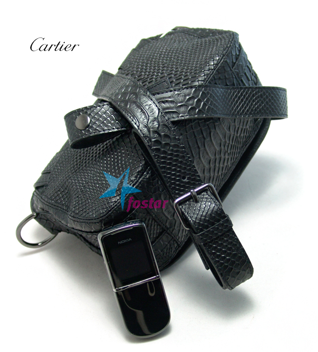    fashion  Cartier YZ1001215BK