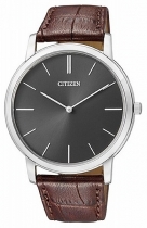 ���� �������� ������� Citizen AR1110-02H Original