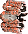 ROBERTO CAVALLI 7253 195 525 ������� ������������ ����